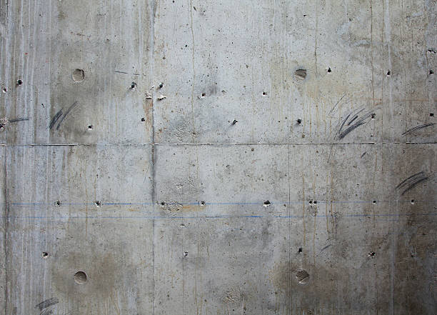 Best Concrete Slab Construction in Forest City, FL